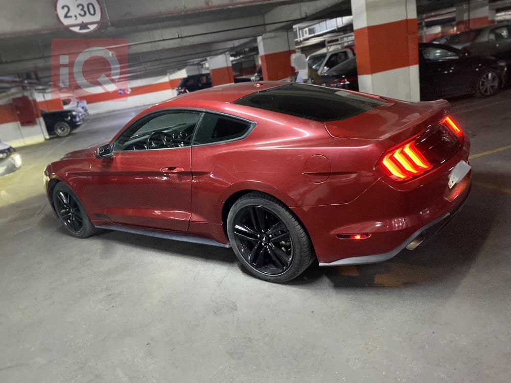 فۆرد مۆستانگ